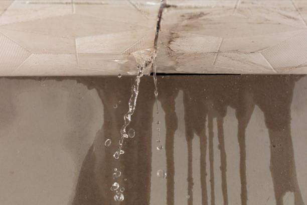 Professional Structural Drying technician working in Edgemoor, SC
